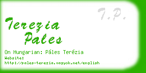 terezia pales business card